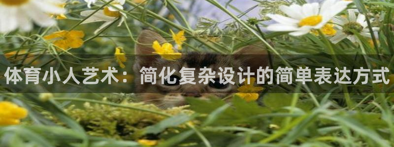 3377体育官方正版app神州:体育小人艺术:简化复杂设计的