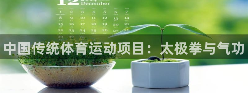 3377体育官网下载:中国传统体育运动项目:太极拳与气功