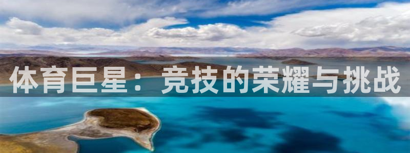 3377体育官方正版app集团官网首页:体育巨星:竞技的荣耀