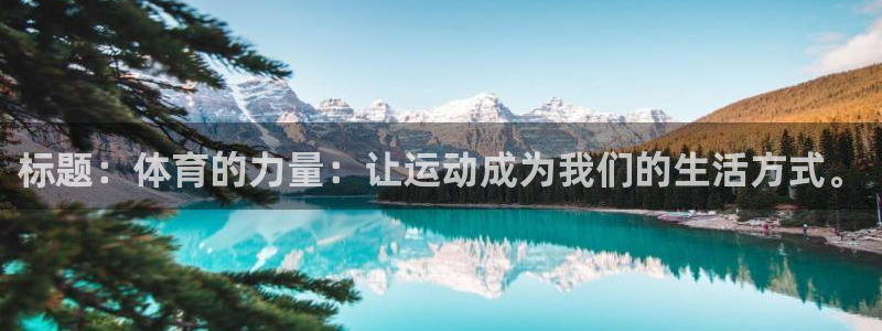 3377体育官网下载平台注册要钱吗:标题:体育的力量:让运动
