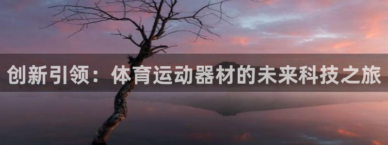 3377体育官网下载平台是正规平台吗:创新引领:体育运动器材