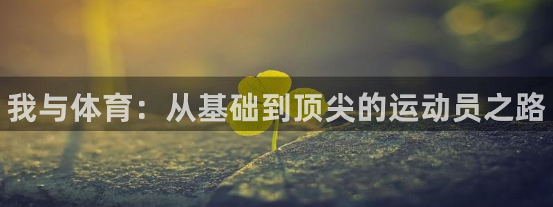3377体育官网下载招商电话地址是多少:我与体育:从基础到顶